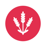 Granos Andinos